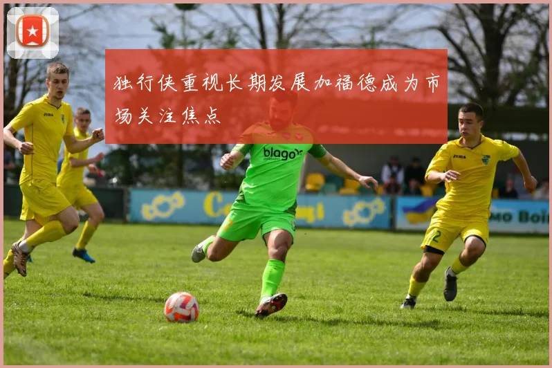 独行侠重视长期发展加福德成为市场关注焦点